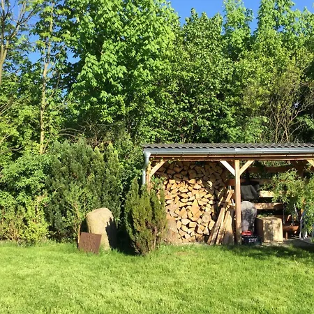 아파트 U Zosi Wisełka